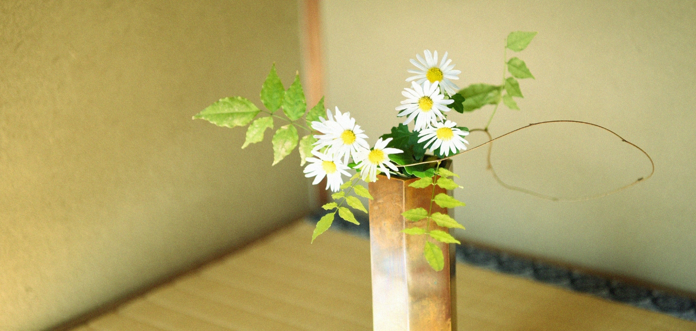 表千家茶道教室　雲釉庵